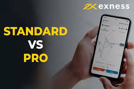 Everything You Need to Know About Exness Professional Forex Account Everything You Need to Know About Exness Professional Forex Account